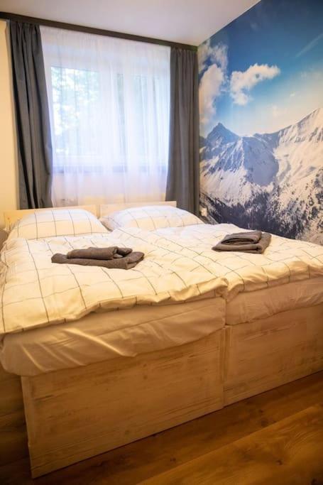 Apartament Leszczynska 29 别尔斯克-比亚拉 外观 照片